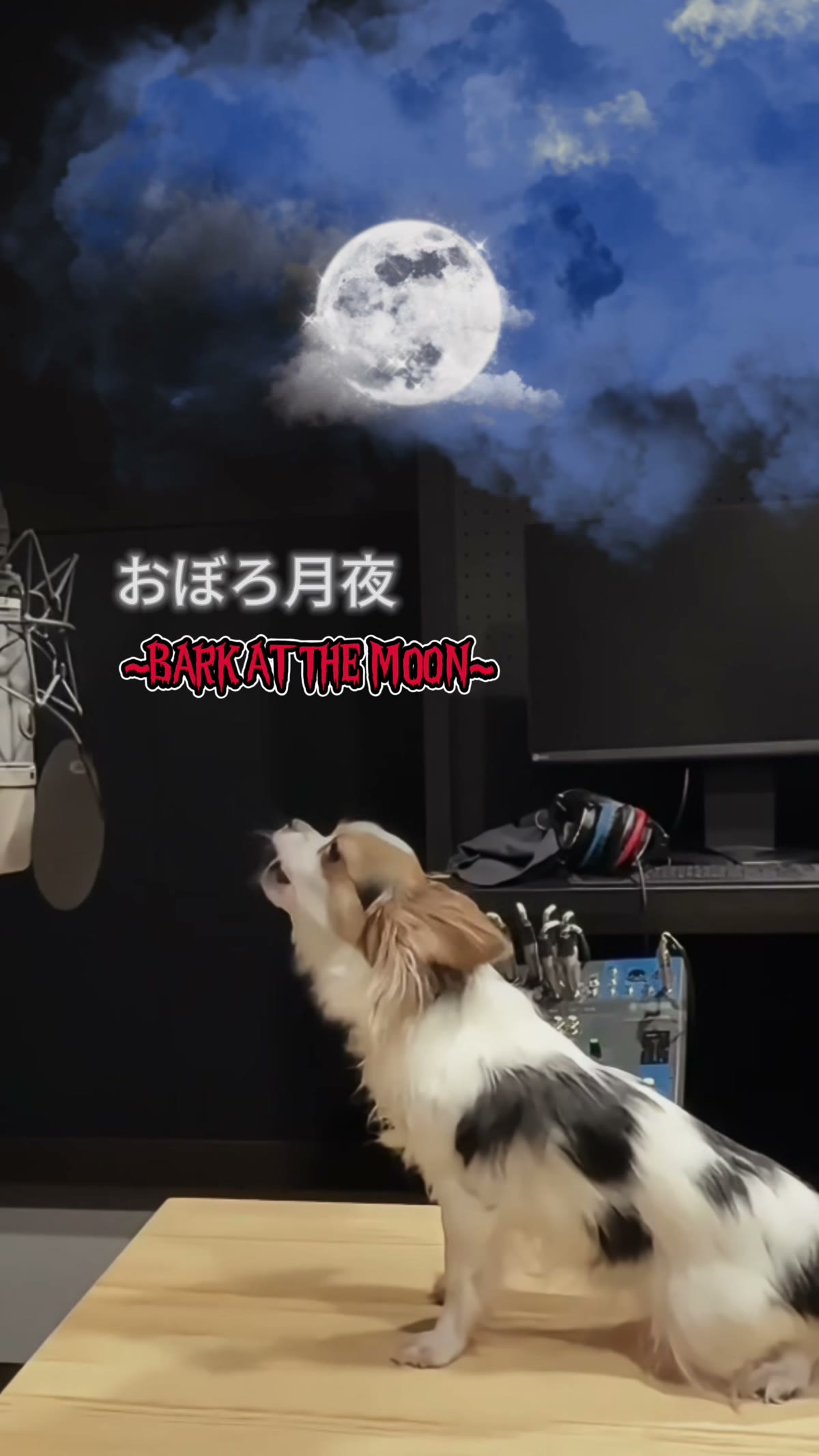 月に向かって歌う看板犬のチロル